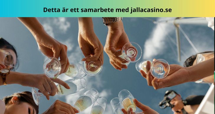blogginlägg, blogg